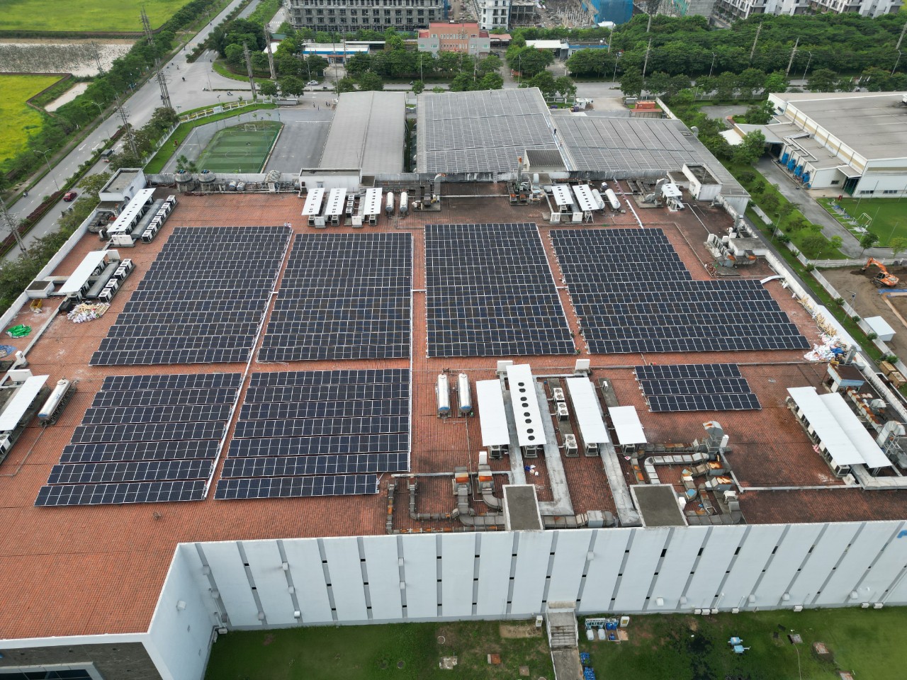 Dự án Foster Electric 3