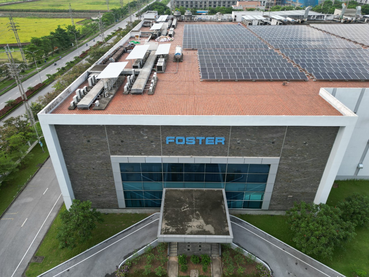 Dự án Foster Electric 8